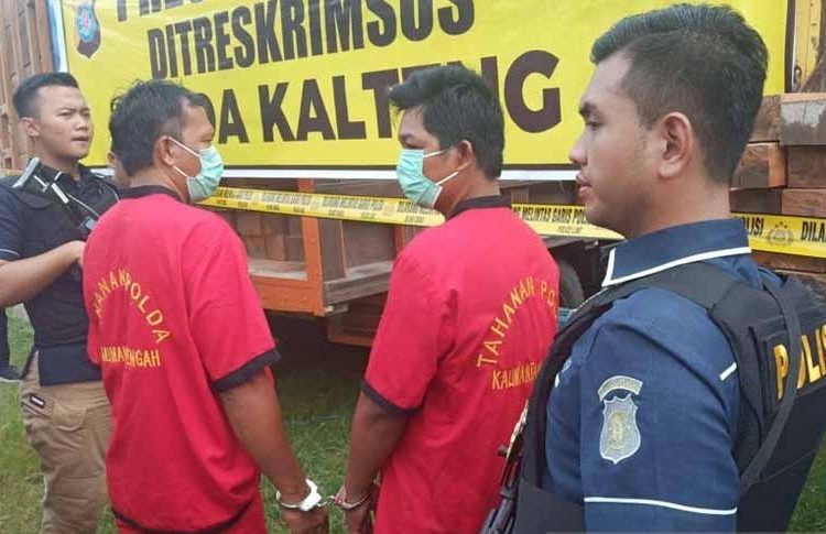 Anggota Ditkrimsus Polda Kalteng menjaga ketat dua tersangka pemalsu dokumen puluhan kayu yang rencananya hendak di bawa ke sebuah perusahaan yang berada di Kota Banjarmasin, Kalimantan Selatan, Kamis (21/11/19)