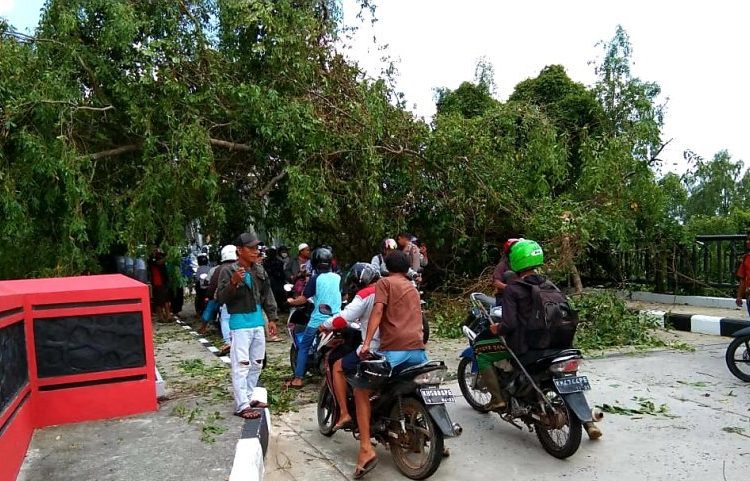 Pohon tumbang di Jembatan Soekarno-Hatta Kuala Pembuang, Rabu (27/11/2019)