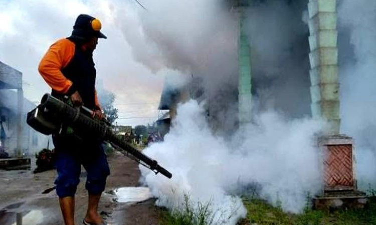 Petugas Dinas Kesehatan Barito Utara melakukan fogging di kawasan rumah warga di Muara Teweh