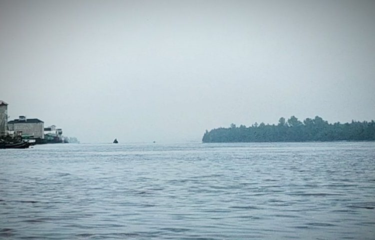 Pulau Lepeh yang diwacanakan dijadikan lokasi wisata buaya di Sungai Mentaya Kabupaten Kotawaringin Timur