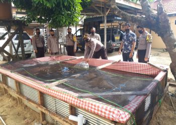 Jajaran Anggota Kepolisian dari Polisi Sektor (Polsek) Dusun Timur, Polres Barito Timur, Polda Kalimantan Tengah saat menebar bibit ikan lele