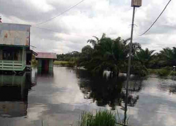 Kondisi di UPT Tanggul Harapan, banjir mulai merendam beberapa lahan pertanian bahkan merambat ke pemukiman warga