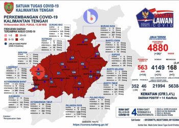 Infografik Satgas Covid-19 Provinsi Kalteng 14 Nopember 2020