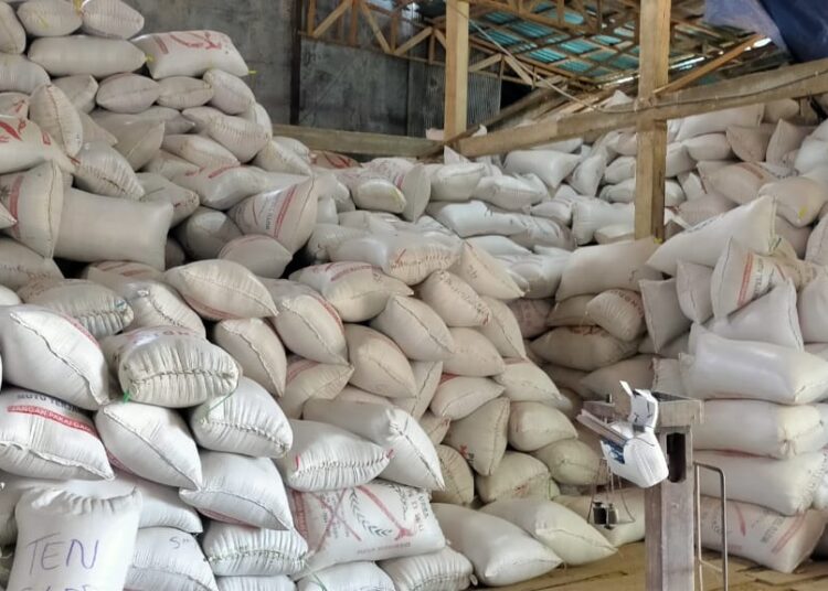 Ratusan ton gabah kering hasil panen raya Okmar petani di Kecamatan Katingan Kuala, baru-baru tadi