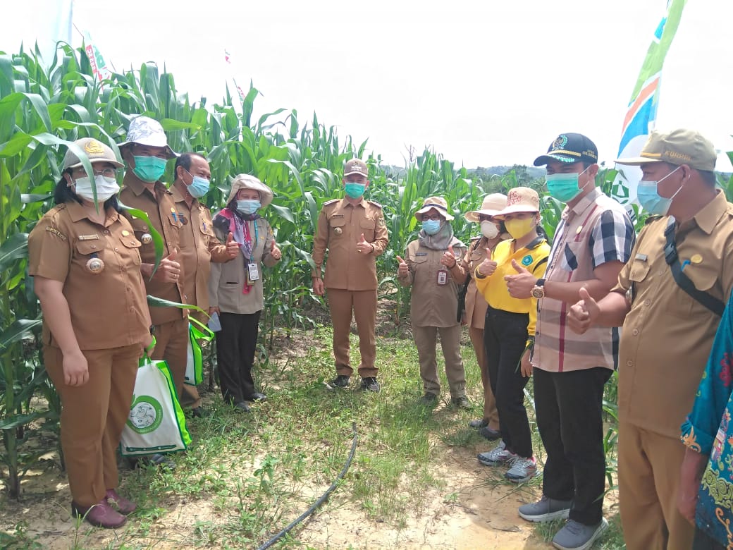 Pelaksanaan kegiatan sosialisasi dan penyerahan bantuan Saprodi kepada Demontrasi Plot (Demplot) dari PT. Petrokimia Kayaku di Kuala Kurun