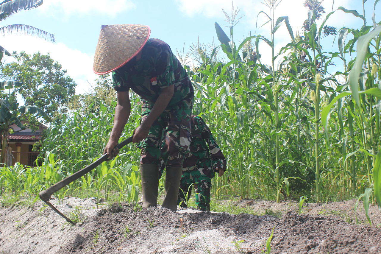 Serda Suyatno Saat Menunjukkan Kebun Jagung Yang Berawal Dari Lahan Kosong 