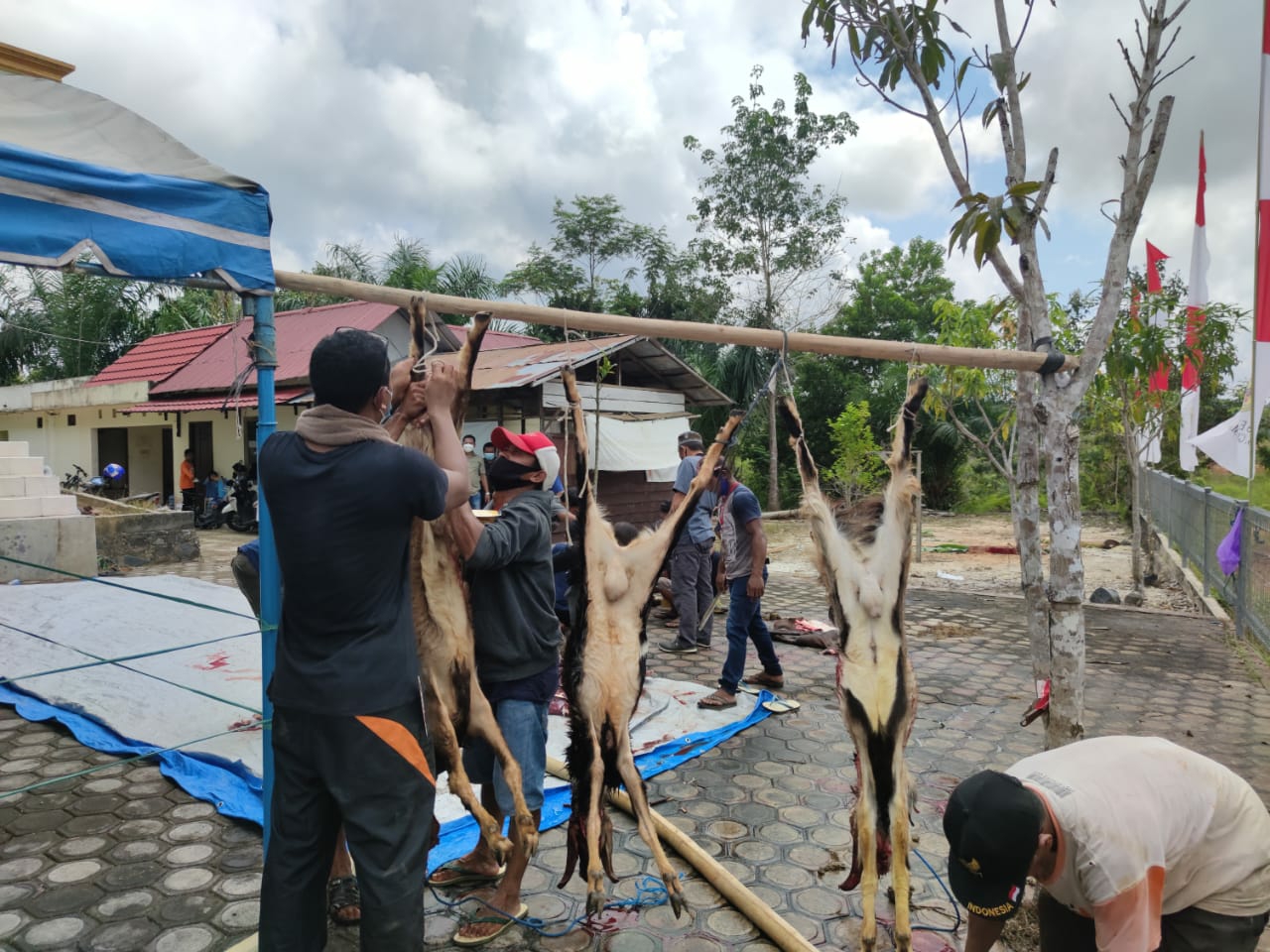 Penyembelihan hewan kurban di halaman Masjid Ar-Raihan Polres Gumas, Selasa (20/7/2021)