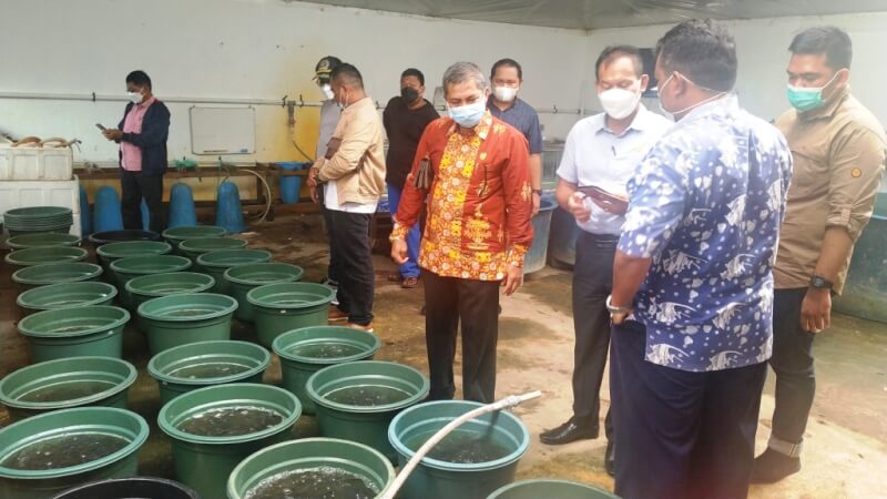 KUNJUNGAN – Pimpinan dan Anggota Komisi II DPRD Kalteng sedang meninjau lokasi pembibitan ikan lokal, saat kunjungan kerja ke Kabupaten Pulang Pisau, pekan lalu (Foto/Humas DPRD Provinsi Kalteng)