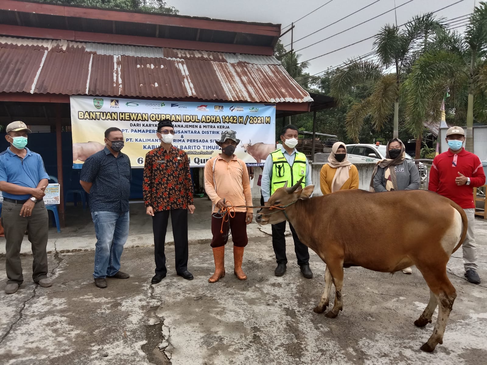 Acara penyerahan enam hewan qurban dari PT. PAMA dan PT. KPP Distrik PT. Adaro Indonesia, di Masjid Kincung Kelurahan Taniran, Kecamatan Banua Lima, Jumat (16/7/2021)