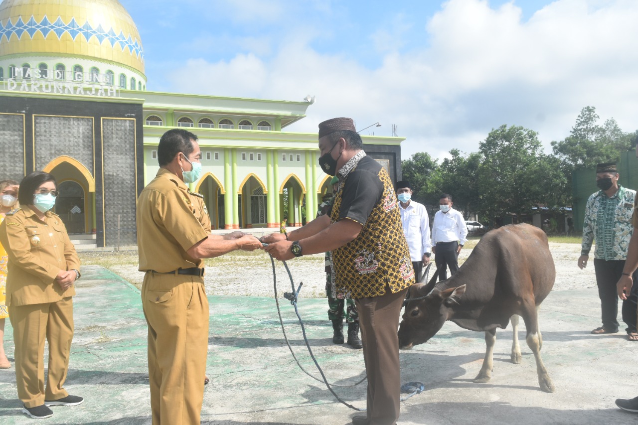 Bupati Gunung Mas, Jaya Samaya Monong saat menyerahkan bantuan hewan qurban dalam rangka peringatan Hari Raya Idul Adha 1442 H kepada Pengurus Dewan Masjid Darunnajah, Senin (19/7/2021)