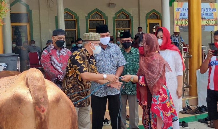 Penyaluran sapi qurban dari Pemerintah Provinsi Kalimantan Tengah untuk Pemerintah Kabupaten Barito Selatan