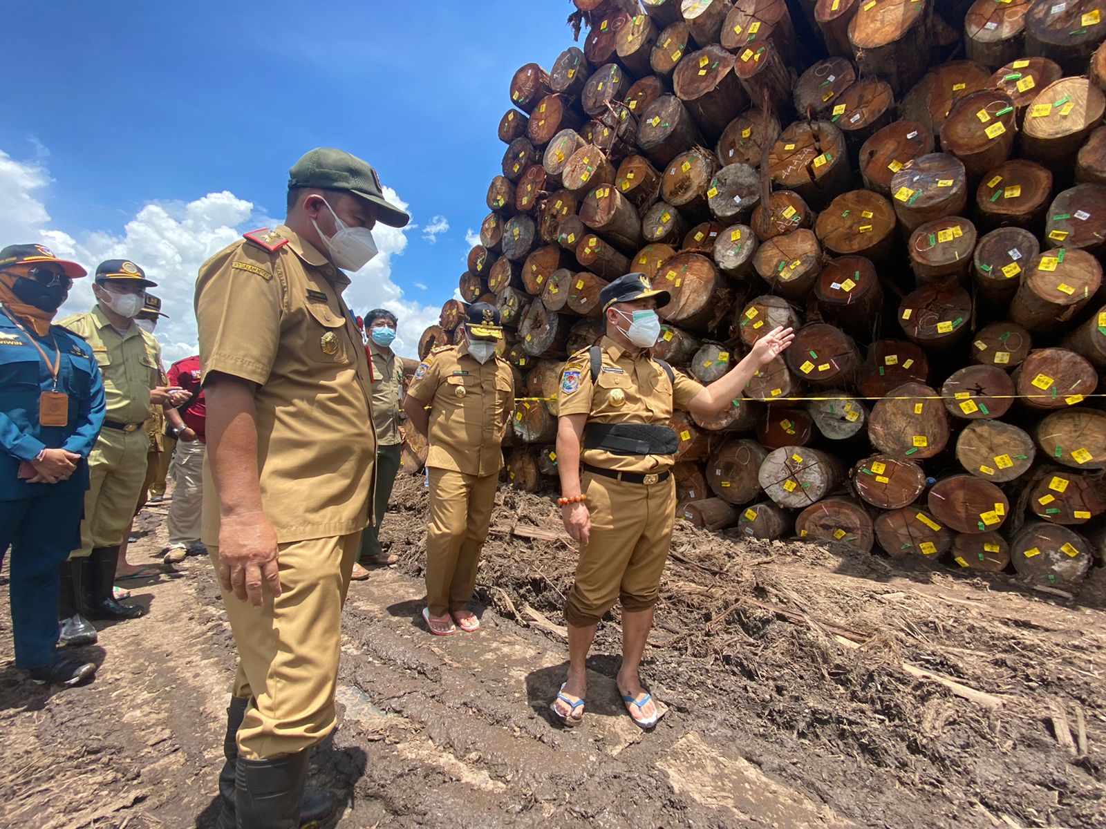 Ribuan kayu log yang disegel