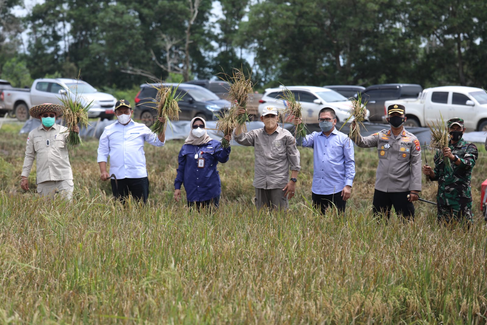 Wakil Gubernur Kalteng H. Edy Pratowo saat panen padi Inpari Nutri Zinc di kawasan Food Estate yang berada di Rey 28 Belanti Siam, Kabupaten Pulang Pisau