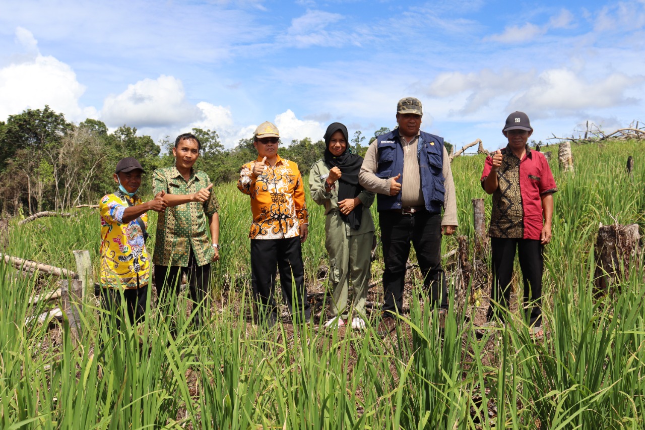 Kepala Dinas Pertanian Kabupaten Gunung Mas Letus Guntur saat meninjau ladang kelompok tani Hayak Hamiar Tumbang Kuayan di Desa Tumbang Kuayan Kecamatan Rungan Barat, Jumat (14/1/2022)