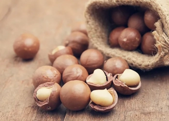 Ini Manfaat Kacang Macadamia untuk Kesehatan.jpg