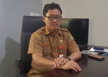 Kepala Dinas Komunikasi Informatika Persandian dan Statistik (Diskominfosantik) Kabupaten Barito Timur, Dwi Aryanto