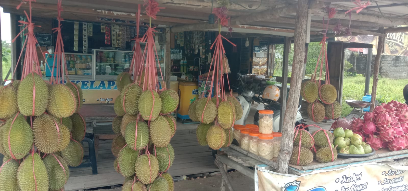 Ini durian Kasongan