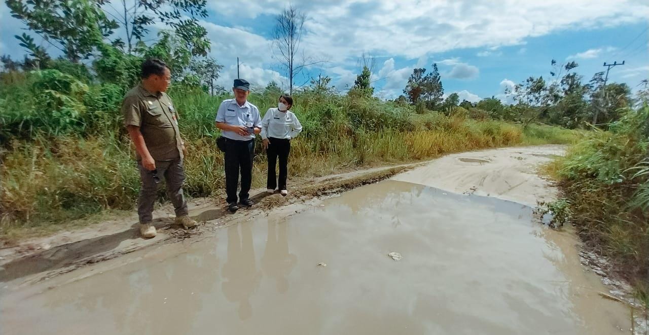 cek ruas jalan