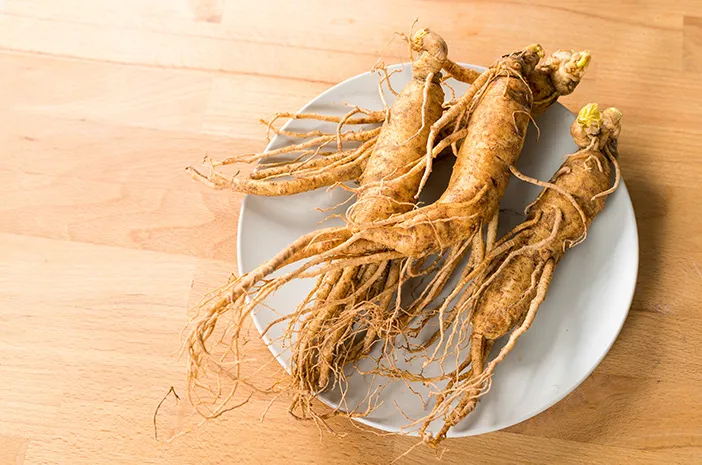 Segudang X Manfaat Ginseng Jawa Bagi Kesehatan.jpg