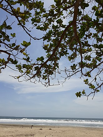 Gambar (Sumber: https://id.wikipedia.org/wiki/Pantai)