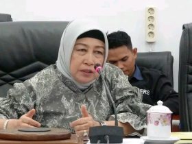 Ketua DPRD Barito Utara, Hj Mery Rukaini. Langkah ini dinilai penting untuk menjaga ketertiban umum dan kenyamanan masyarakat.