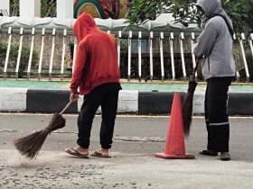 Plt Kepala DLH Kota Palangka Raya, Alman P. Pakpahan, menjelaskan bahwa pembersihan dilakukan sebagai langkah pencegahan agar tidak terjadi kecelakaan lalu lintas.