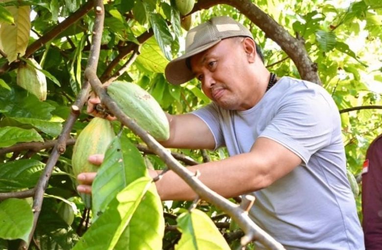 Gubernur Kalimantan Tengah (Kalteng), H. Sugianto Sabran, menyatakan dukungannya terhadap pengembangan Daerah Aliran Sungai (DAS) Barito sebagai pusat produksi kakao.