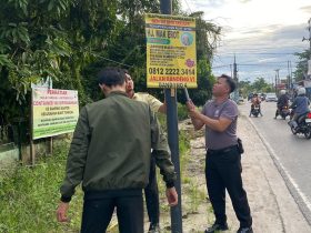 "Pohon yang dipaku pasti mati pelan-pelan," kata Alman.