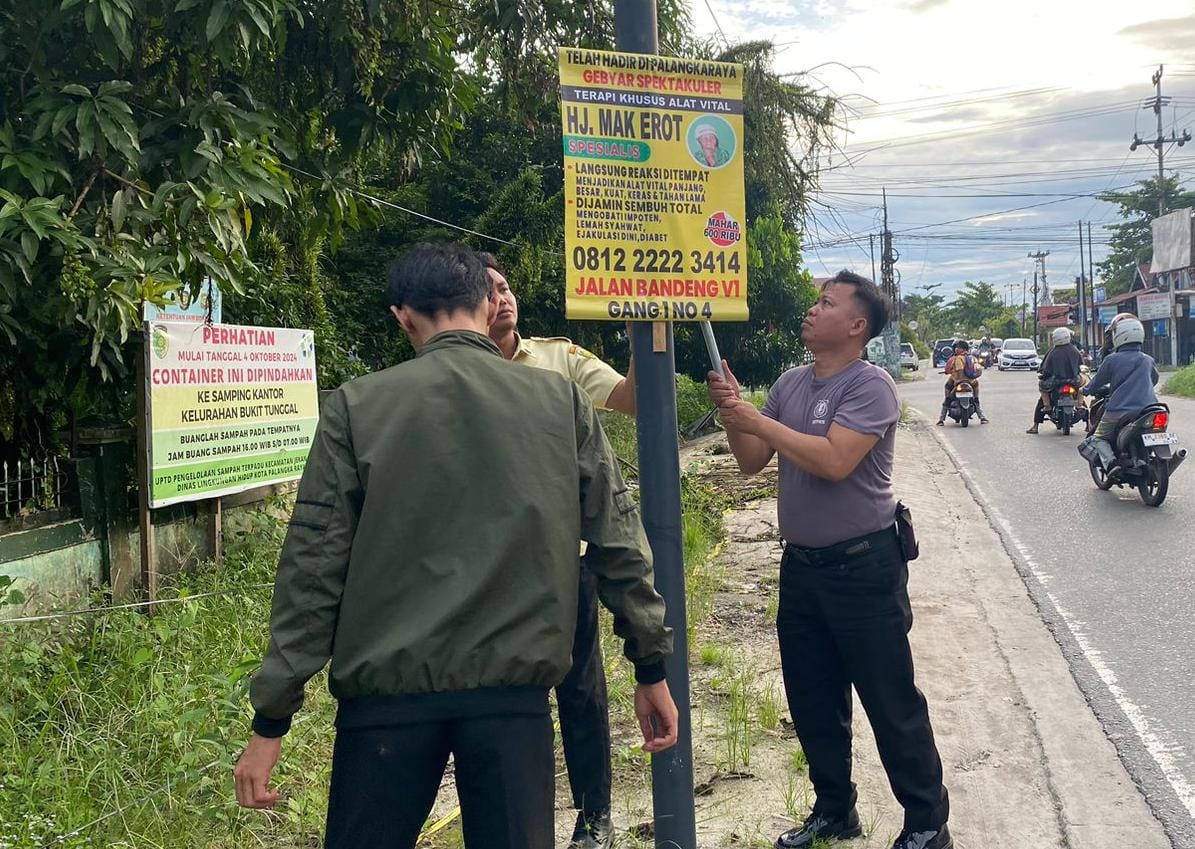 "Pohon yang dipaku pasti mati pelan-pelan," kata Alman.