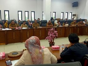 Anggota DPRD Kabupaten Barito Utara, Patih Herman AB