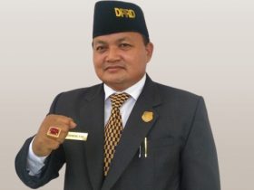 Ketua DPRD Kabupaten Kapuas, Ardiansah. (ist)