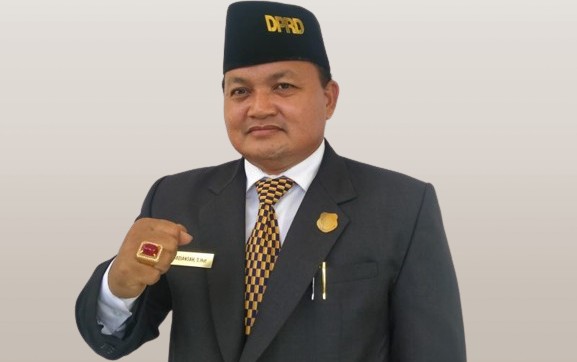 Ketua DPRD Kabupaten Kapuas, Ardiansah. (ist)