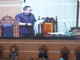 DPRD Kabupaten Kapuas resmi membentuk tiga panitia khusus (pansus) untuk membahas enam rancangan peraturan daerah (raperda) yang diajukan oleh eksekutif.