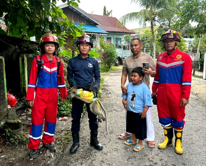 Dinas Pemadam Kebakaran dan Penyelamatan (Disdamkarmat) Kabupaten Barito Utara kembali menunjukkan komitmennya dalam melayani masyarakat, tidak hanya dalam penanganan kebakaran, tetapi juga pada misi penyelamatan non-kebakaran.