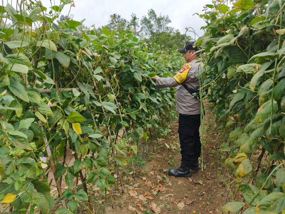 Whatsapp Image 2025 06 09 At 2.14.02 Pm (1)