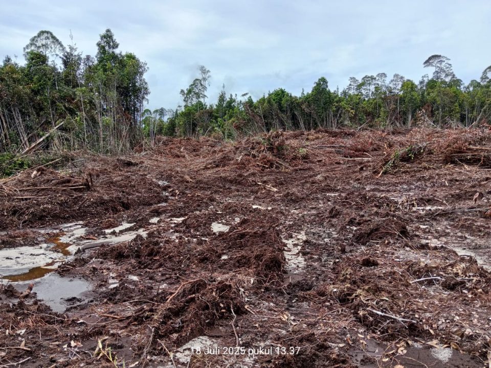 Whatsapp Image 2025 07 18 At 4.18.02 Pm