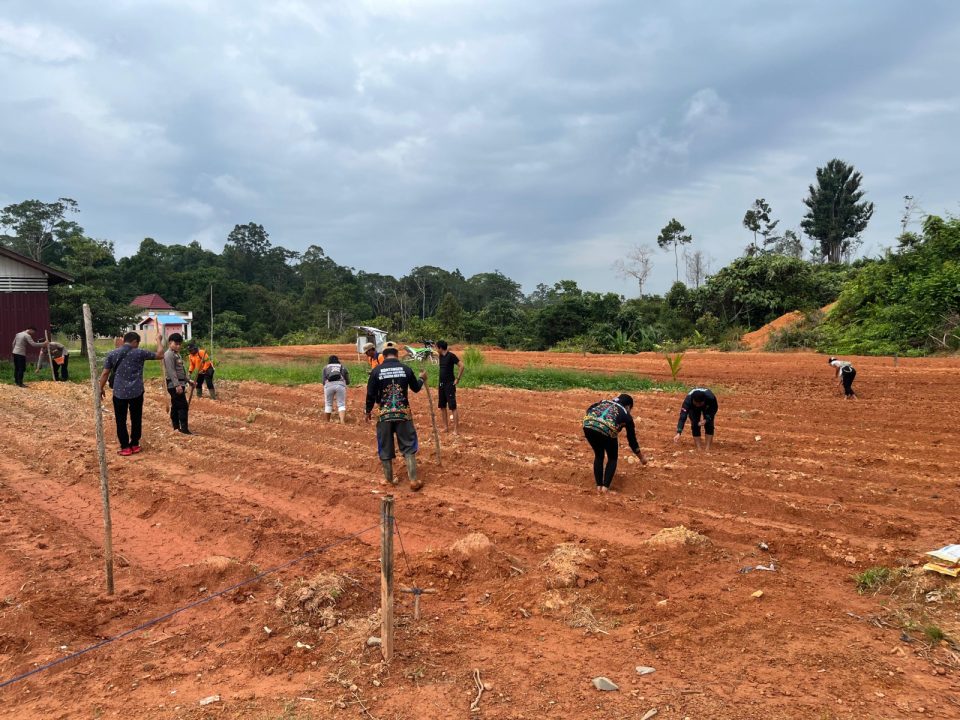 Whatsapp Image 2025 07 25 At 3.05.45 Pm