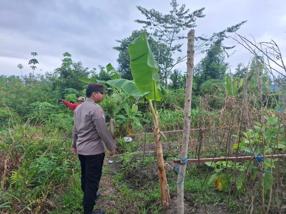 Whatsapp Image 2025 07 28 At 3.34.06 Pm