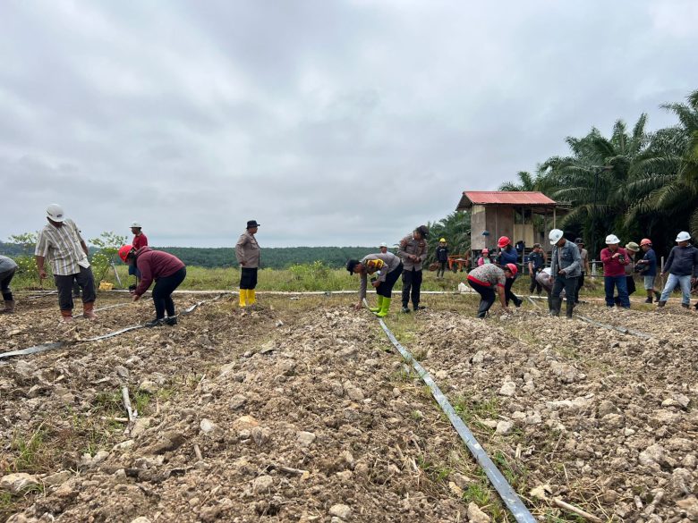 Whatsapp Image 2025 08 09 At 1.41.57 Pm