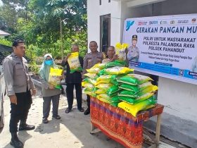 Whatsapp Image 2025 08 13 At 2.12.05 Pm