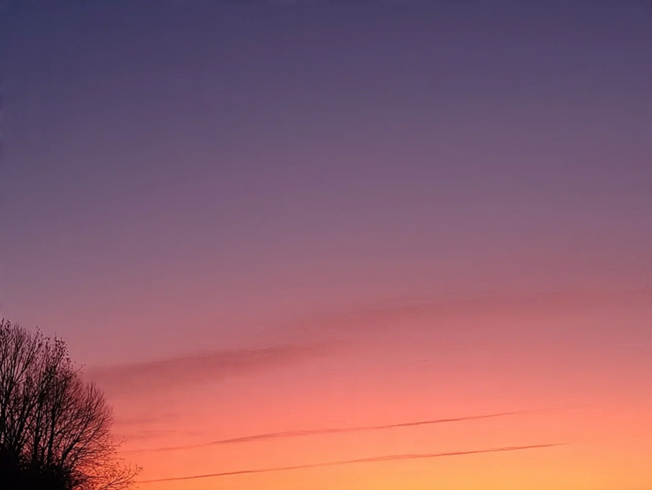 Whatsapp Image 2025 08 30 At 8.05.34 Am