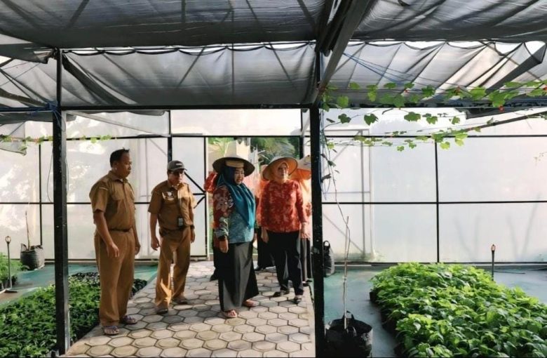 Whatsapp Image 2025 09 11 At 6.54.06 Pm