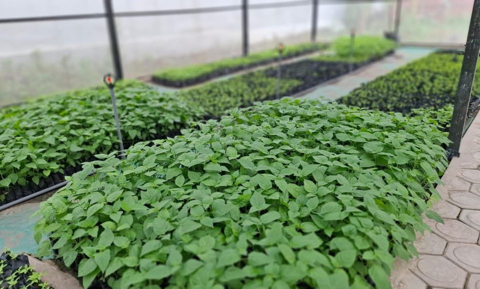 Whatsapp Image 2025 09 11 At 6.55.11 Pm