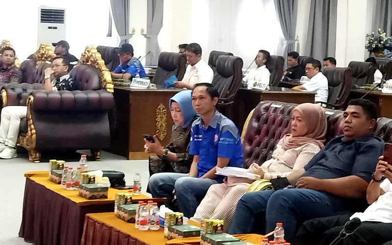 Ketua DPRD Kabupaten Barito Utara, Hj. Mery Rukaini