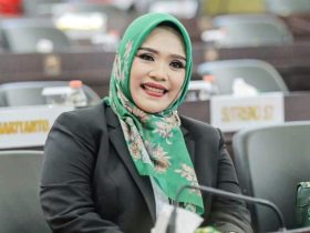 Wakil Ketua I DPRD Murung Raya, Dina Maulidah