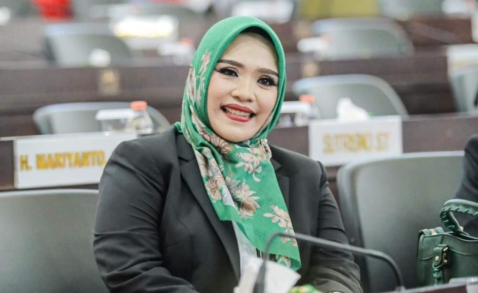 Wakil Ketua I DPRD Murung Raya, Dina Maulidah