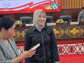 Anggota DPRD Murung Raya, Lita Norfiana