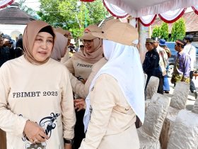 Ketua DPRD Kabupaten Barito Utara, Hj Mery Rukaini