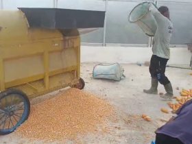 Whatsapp Image 2025 10 03 At 2.42.37 Pm