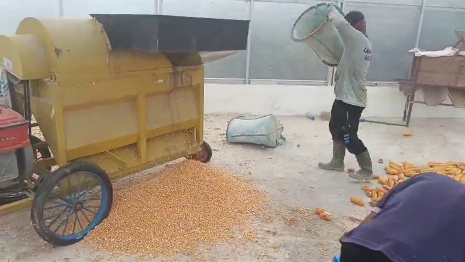 Whatsapp Image 2025 10 03 At 2.42.37 Pm